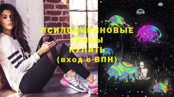 тгк Абаза