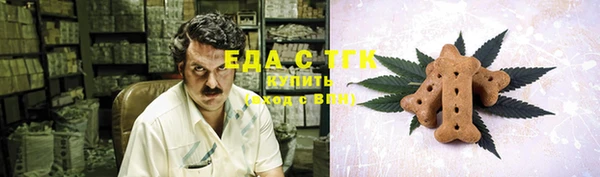 тгк Абаза